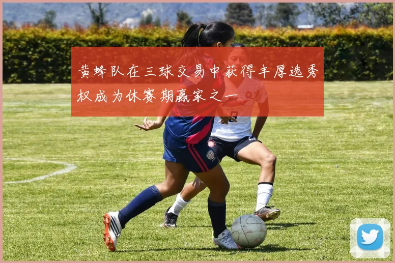 黄蜂队在三球交易中获得丰厚选秀权成为休赛期赢家之一