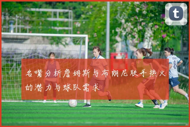名嘴分析詹姆斯与布朗尼联手热火的潜力与球队需求