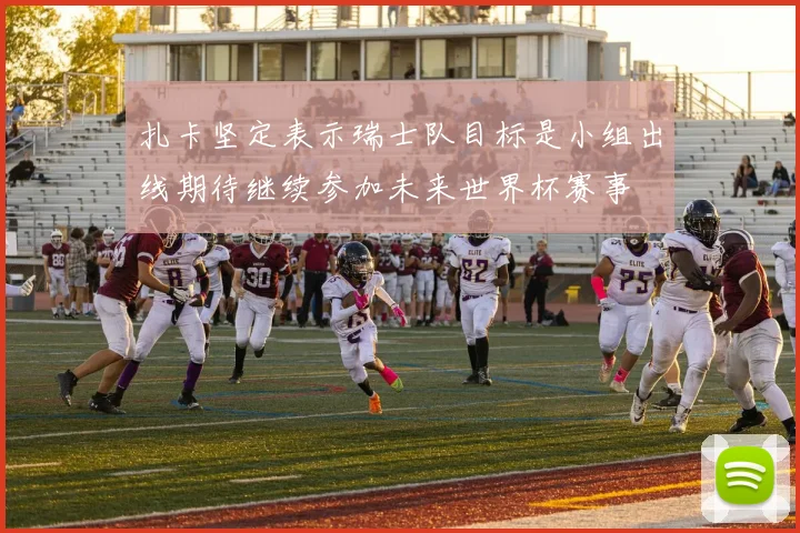 扎卡坚定表示瑞士队目标是小组出线期待继续参加未来世界杯赛事